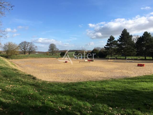 Haras ecurie poney club