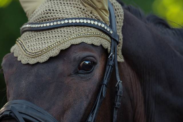 Bonnet anti-mouches Crystal Heritage 2025 - Eskadron
