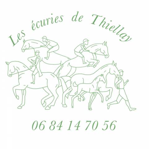 Pension box/paddock à 5 min de pithiviers