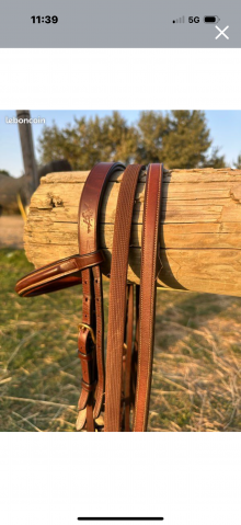 Bridon équipe emporio