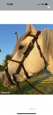 Bridon équipe emporio