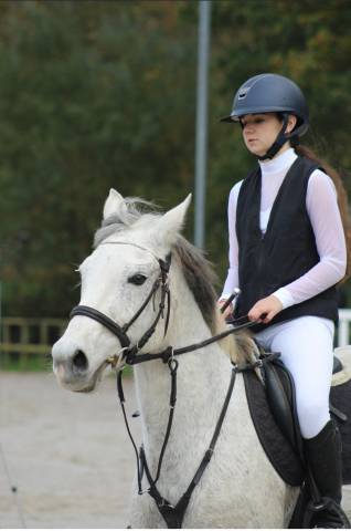 Double poney de concours - 14 ans