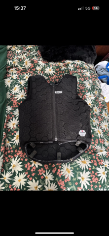 gilet de protection Dainese