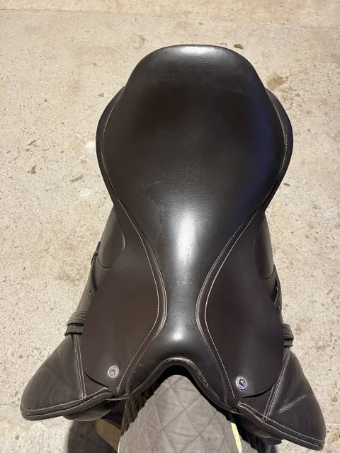 Selle thorowgood t8 jump
