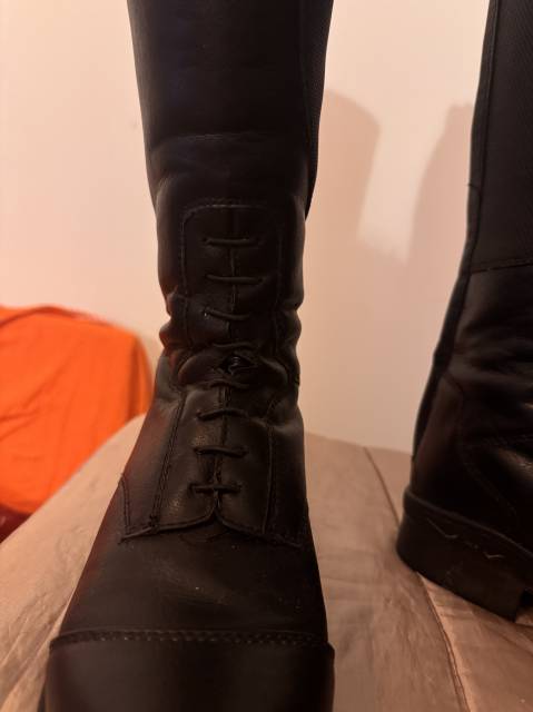 Bottes Mountain Horse