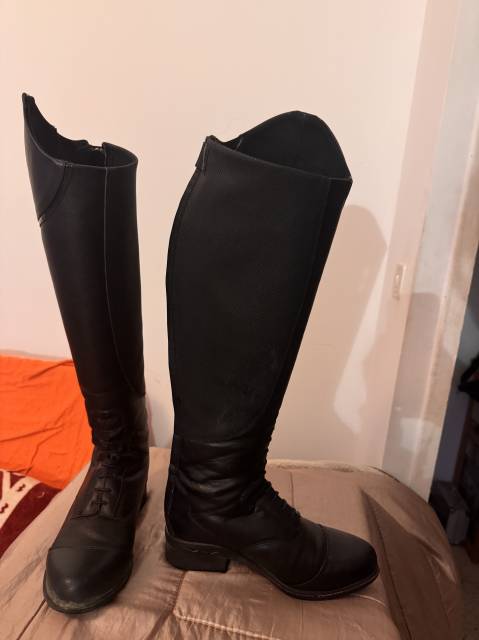 Bottes Mountain Horse