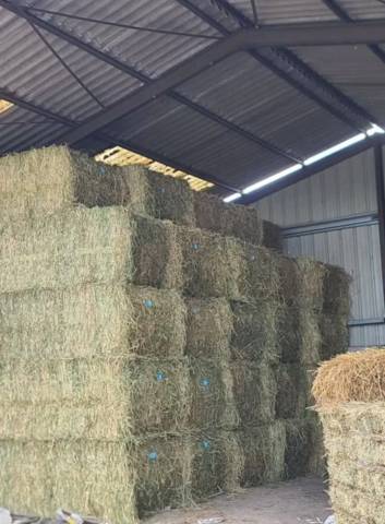 Foin et Paille de bonne qualit&eacute; 