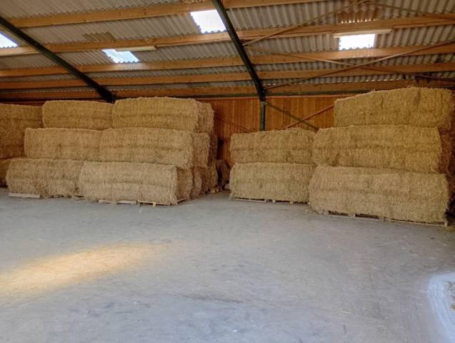 Foin et Paille de bonne qualit&eacute; 