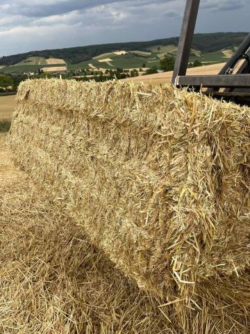 Foin et Paille de bonne qualit&eacute; 