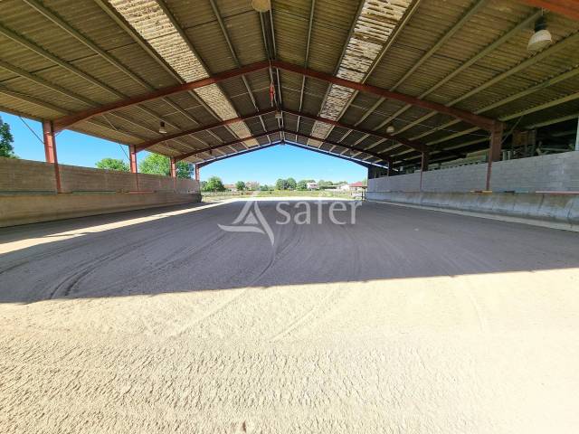 Joli centre equestre prêt à reprendre secteur montauban