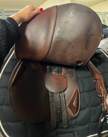 Selle Antares modèle contact 16,5’ havane