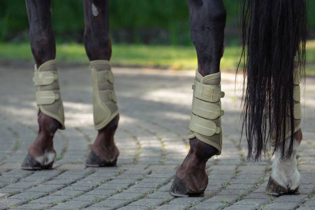 Gu&ecirc;tres Mesh Heritage 2025 - Eskadron - Respirabilit&eacute; optimale