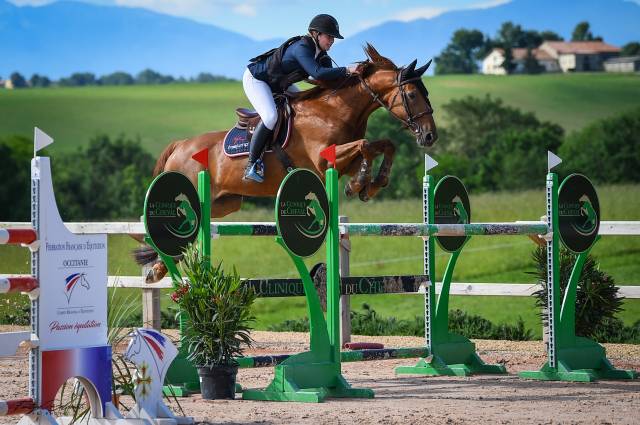 Location hongre cso amateur 1/élite