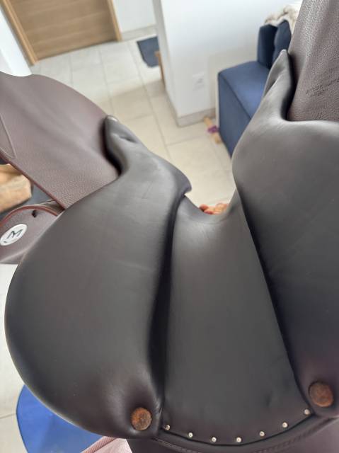 Selle Meyer 2023, modèle Marianne 