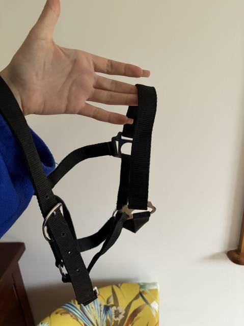 lot de 2 licols noir 