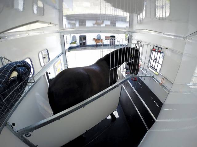 Groom suite ifor éventa l