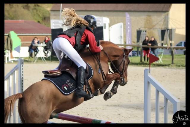 Poney de sport 
