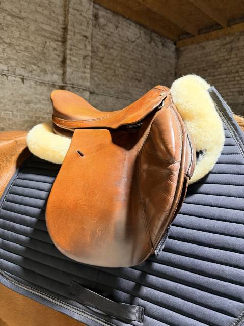 Selle Forestier 2010 17,5