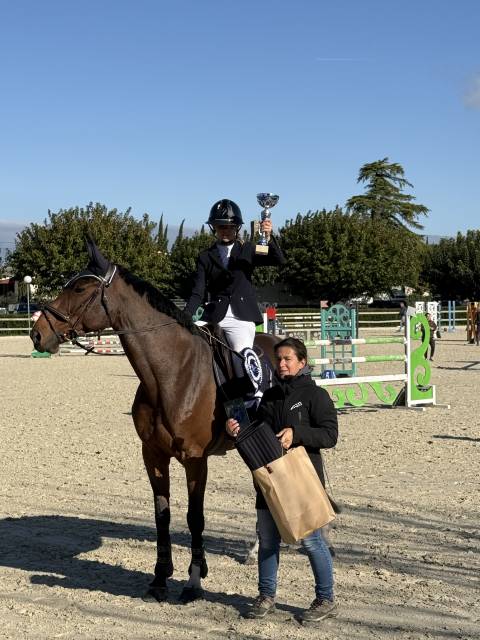 Top jument cso zangersheide amateur elite et csi *