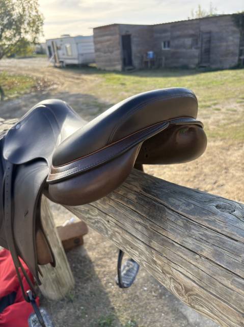 Selle d’obstacle Équipe Expression 17,5´´ 