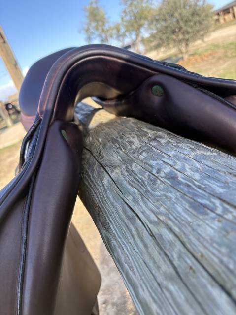 Selle d’obstacle Équipe Expression 17,5´´ 