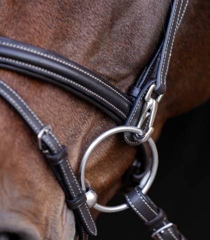 Bridon anatomique X-Line Work - Waldhausen - Mousquetons pratiques