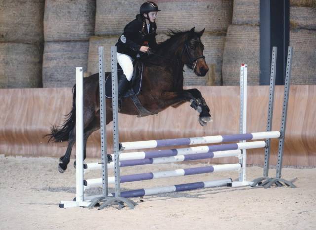 Poney connemara ideal enfant