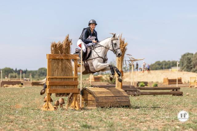 à vendre ! top ponette pp connemara 9 ans