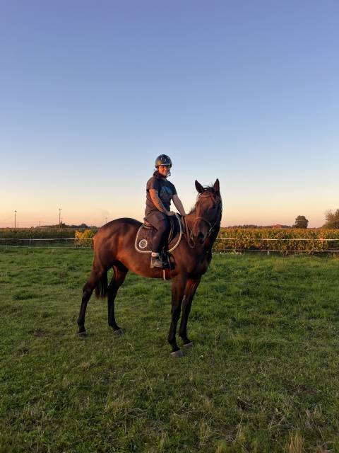 Zarqo ps hongre 6 ans