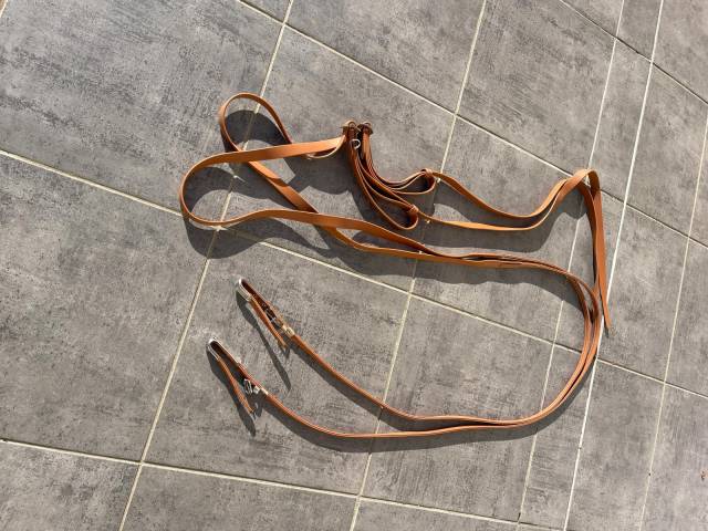 Reines pour chevaux de course 