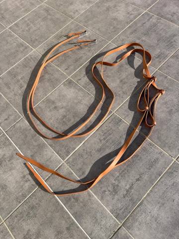 Reines pour chevaux de course 