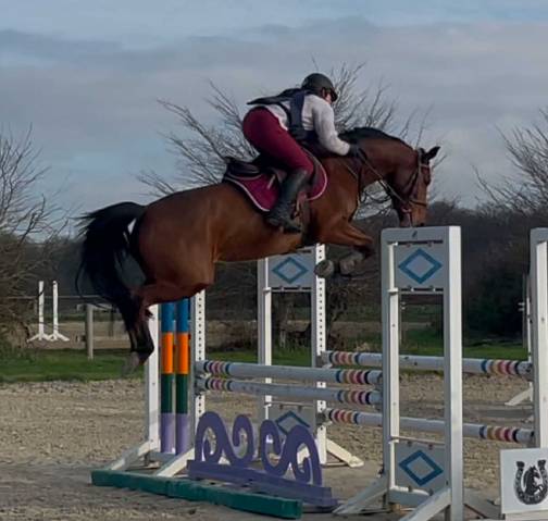 Jument , sf , 2021 (cicave du talus x fidelio du thot)