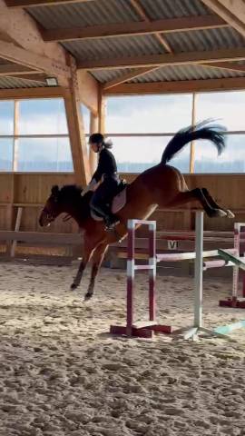 Jument , sf , 2021 (cicave du talus x fidelio du thot)