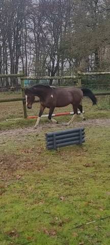 Adorable entier sf de 2012