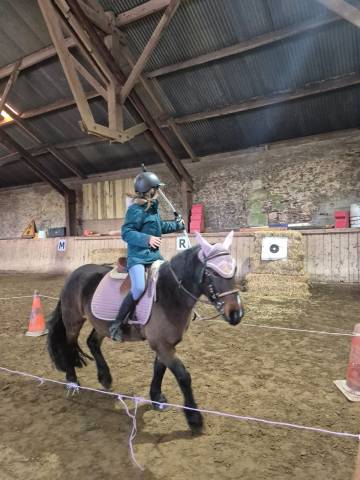 Poney d’école polyvalent