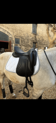 Selle de dressage 