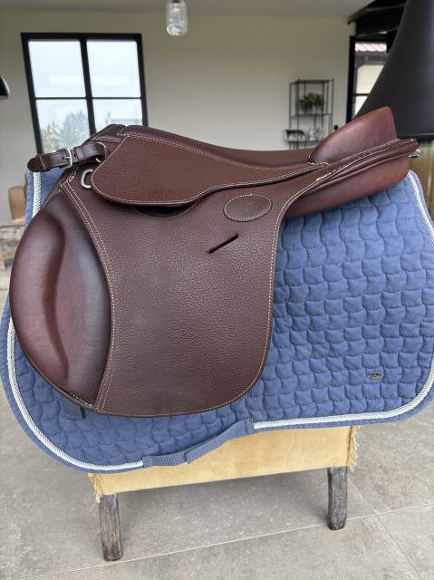 Selle guy cantin évolution taille 14,5