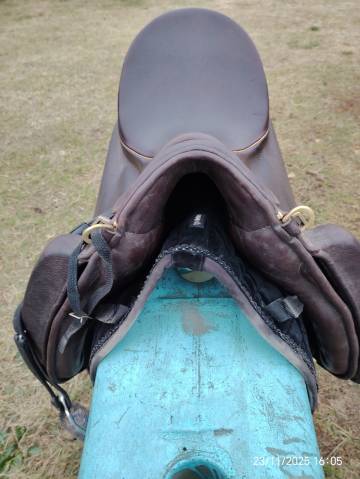 Selle zaldi lusitanus 