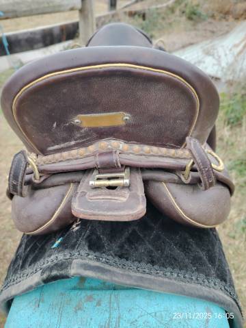 Selle zaldi lusitanus 