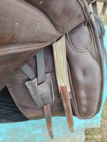 Selle zaldi lusitanus 