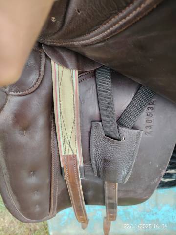 Selle zaldi lusitanus 