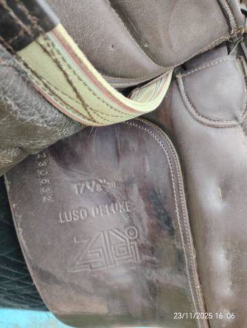 Selle zaldi lusitanus 