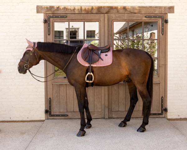 Tapis de selle Velvet Mini Perles - Kentucky - Velours luxueux