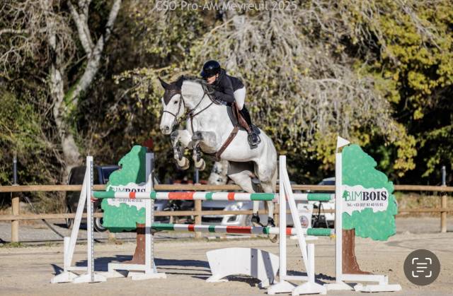 Jument d’exception 