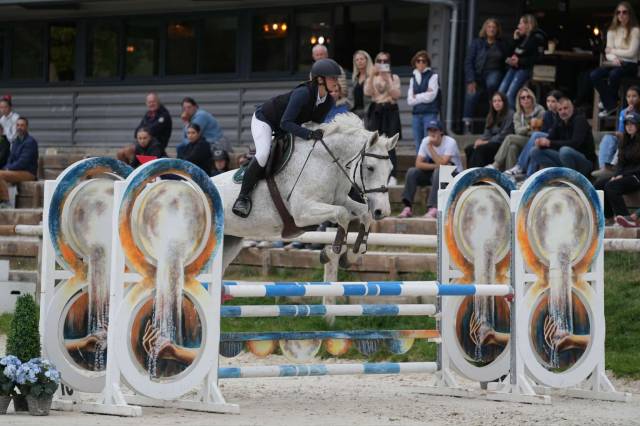 à vendre : chance du lys – selle français, 13 ans – 1m7