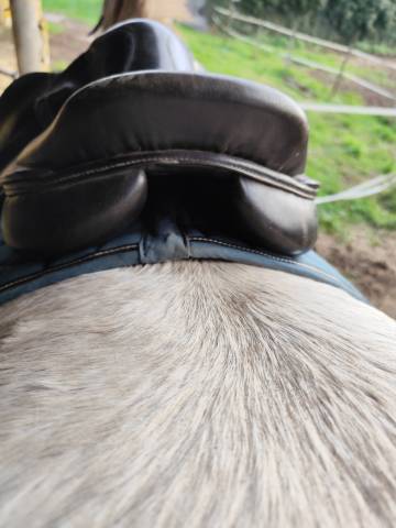 Selle Eric thomas Lugano 