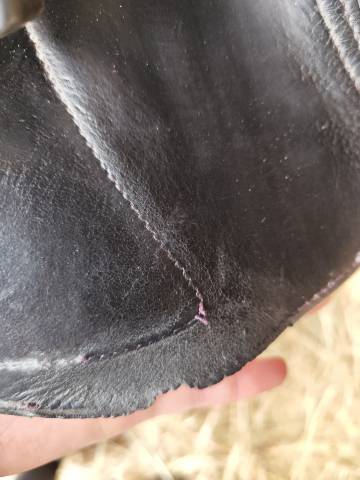 Selle Eric thomas Lugano 