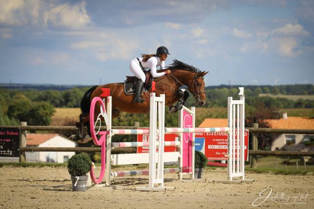 Auto-entrepreneur services équins 