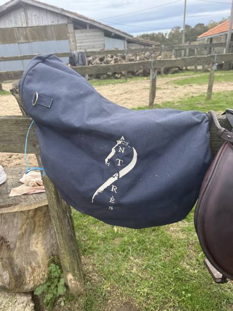 Magnifique selle mixte 