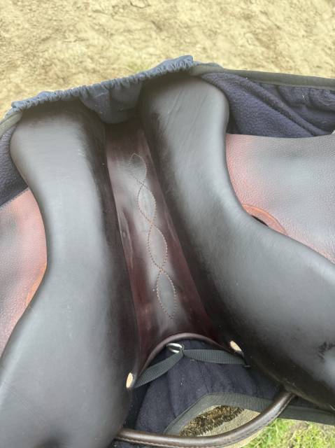 Magnifique selle mixte 